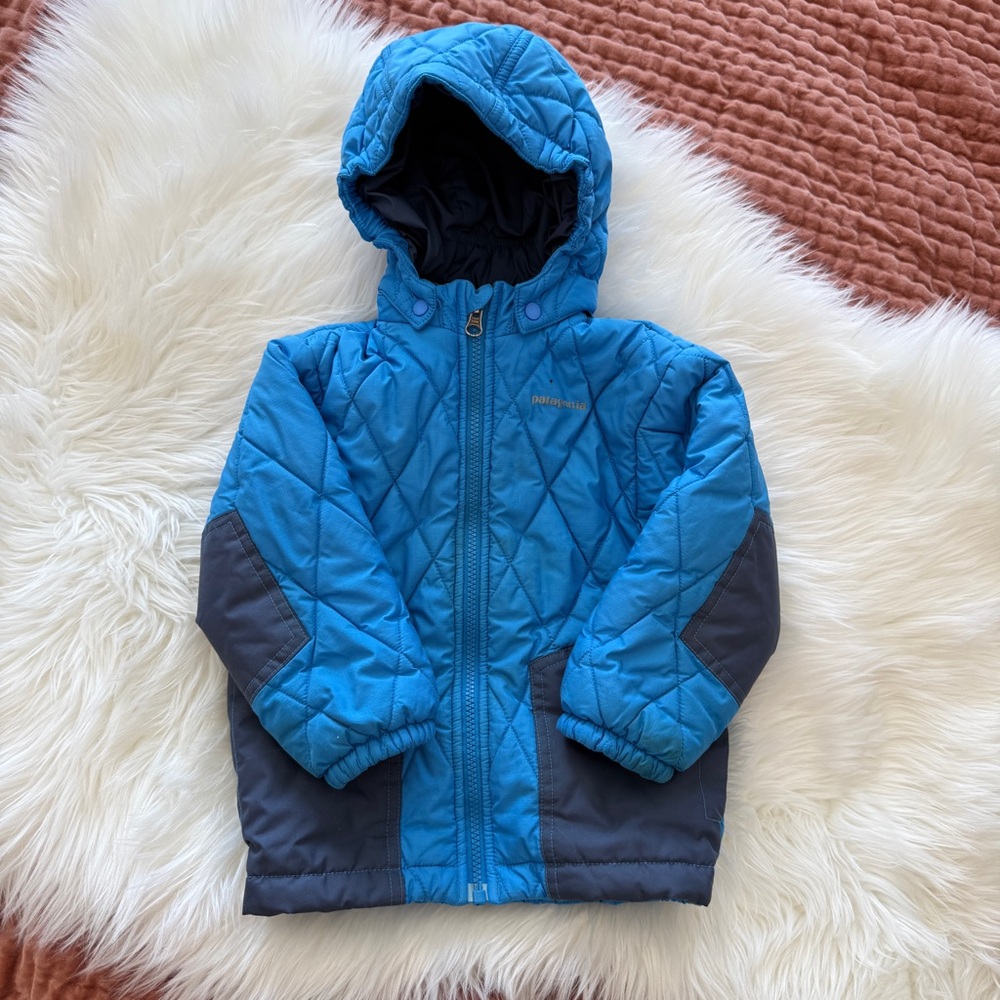 Blue Patagonia Quilted Hooded Jacket